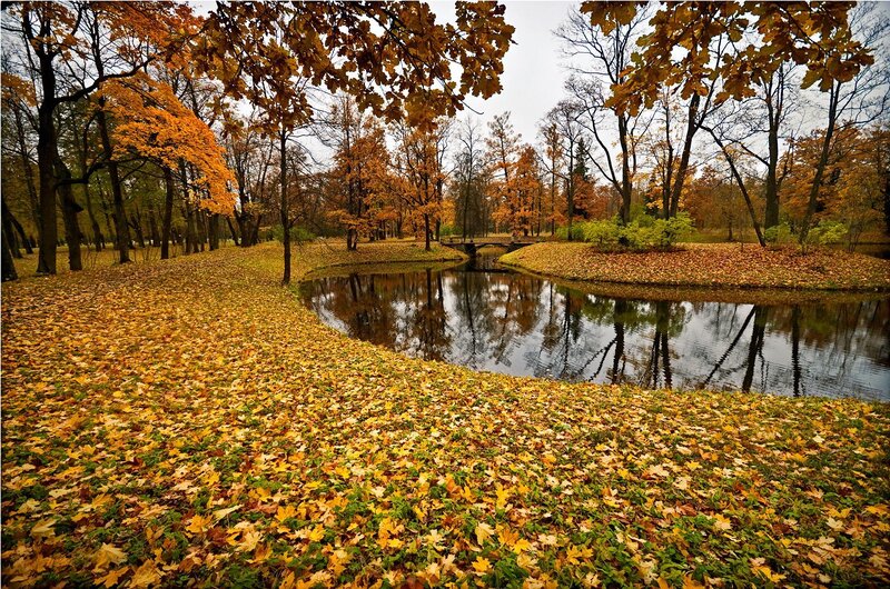 Autumn Park with Pond — Yellow, Serene, Photograph, Trees, Leaves
