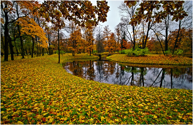 Autumn Park with Pond — Yellow, Serene