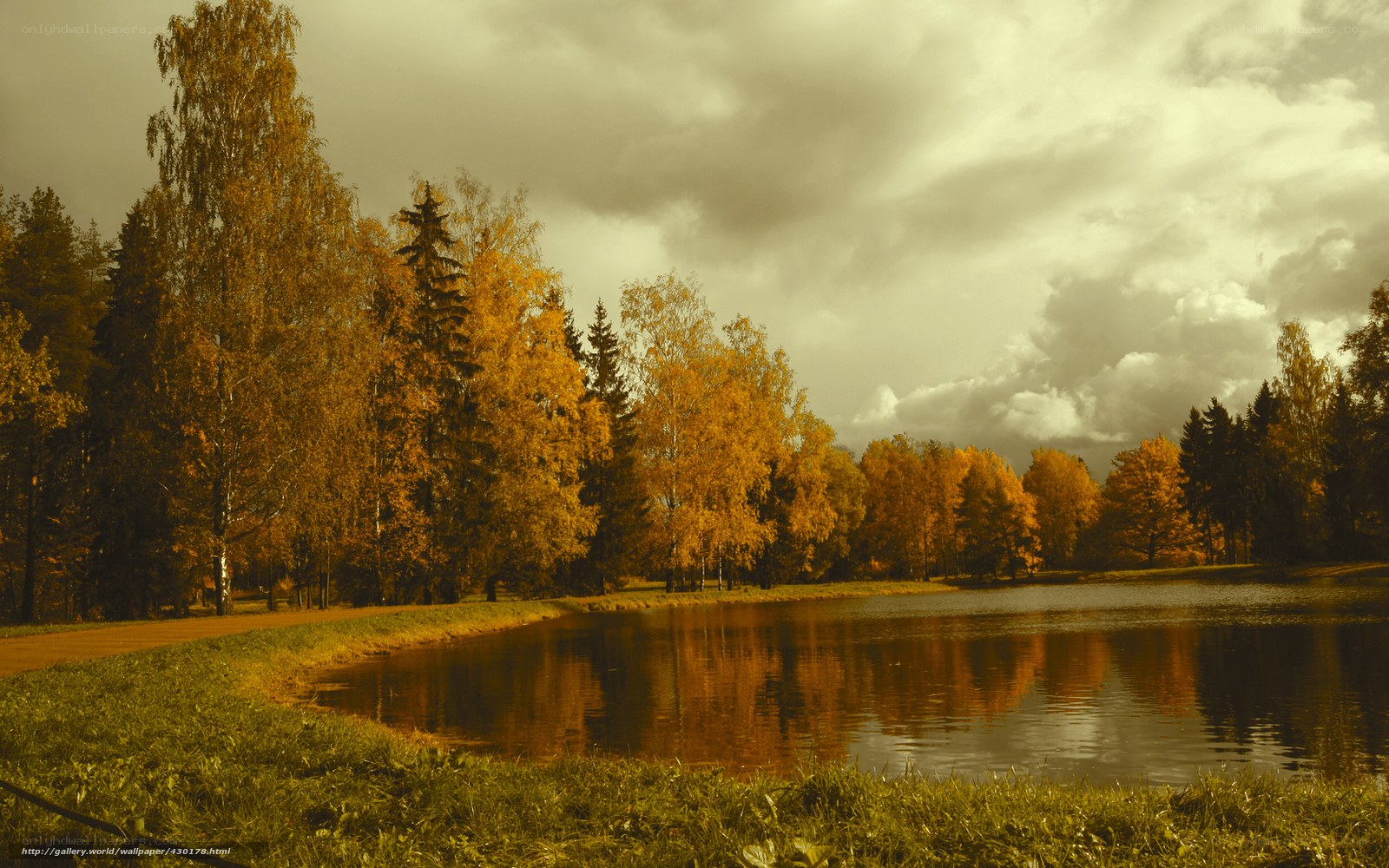 Autumn park with pond