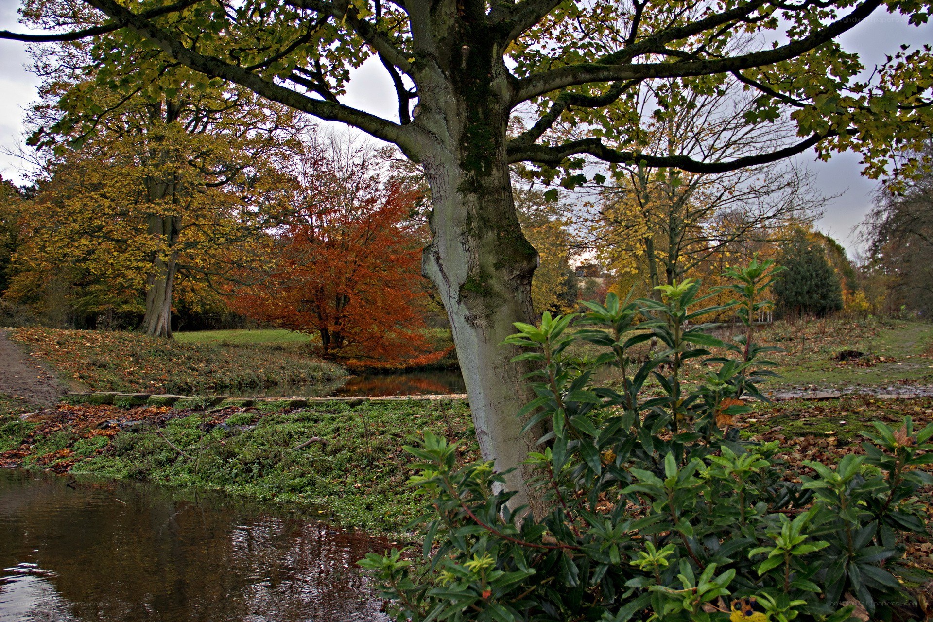 Autumn park with river