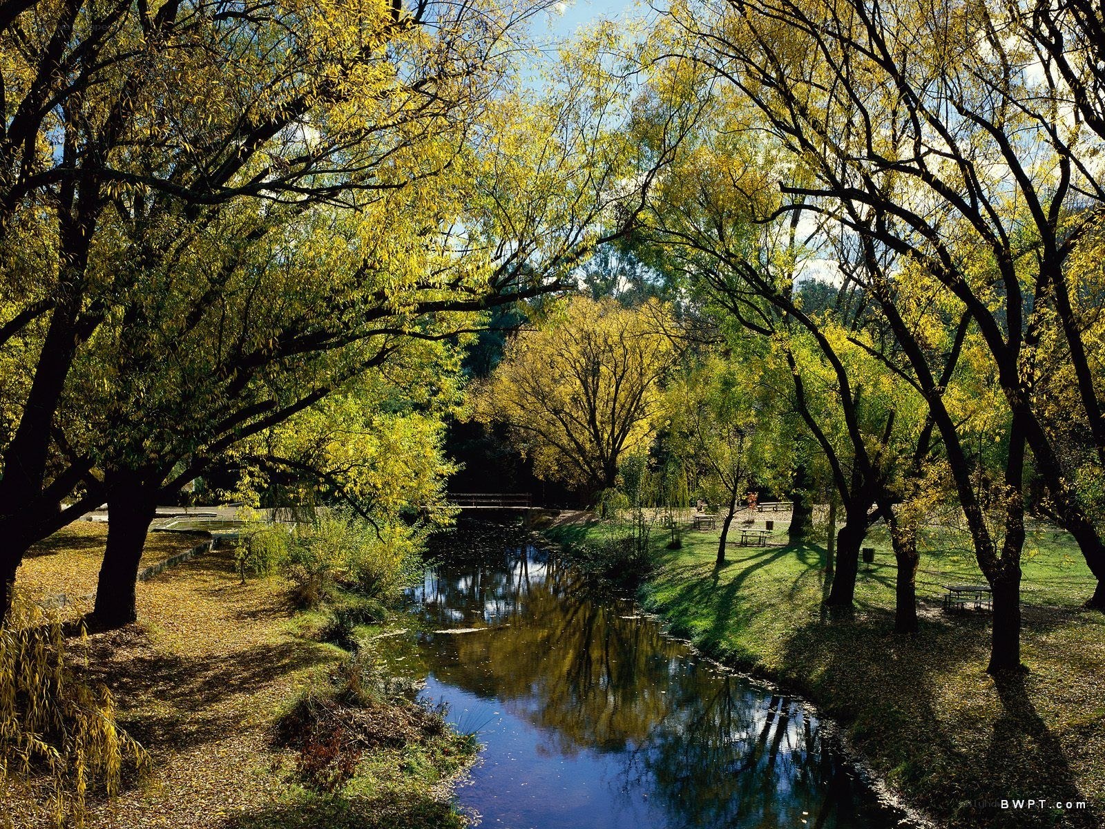 Autumn park with river