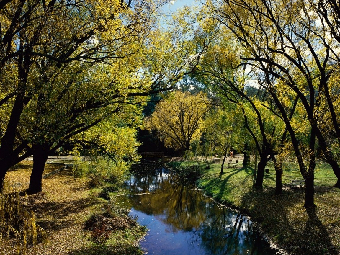 Autumn park with river