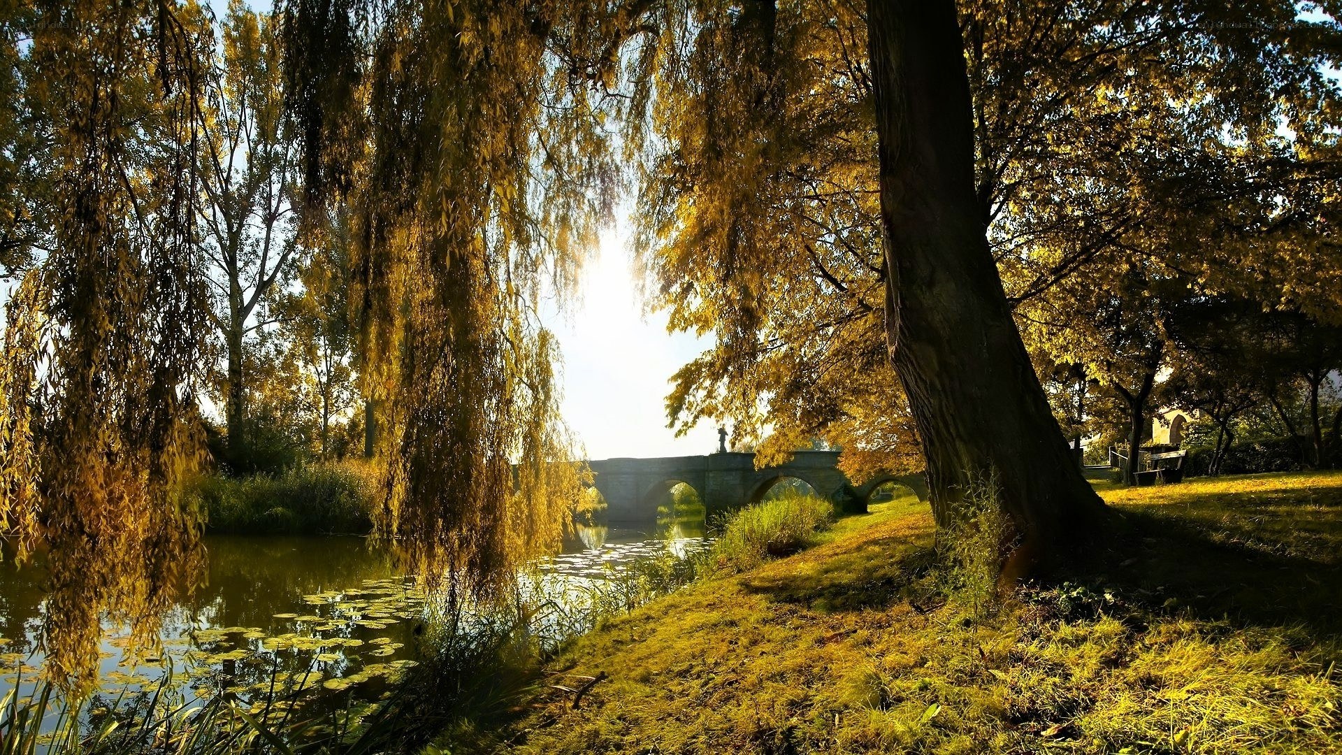 Autumn park with river and bridge