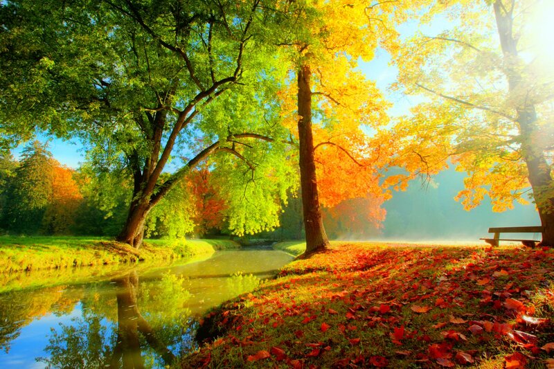 Autumn Park with River — Green