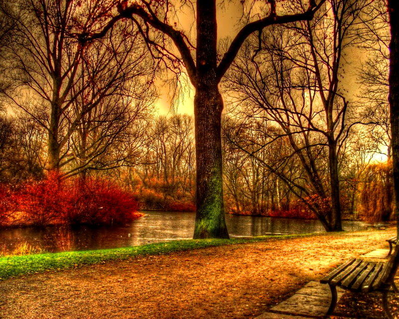 Autumn Park with River — Orange, Serene