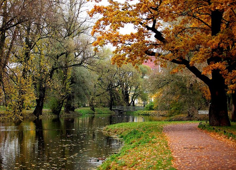 Autumn Park with River — Orange