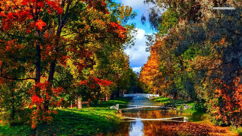 Autumn Park with River — Red