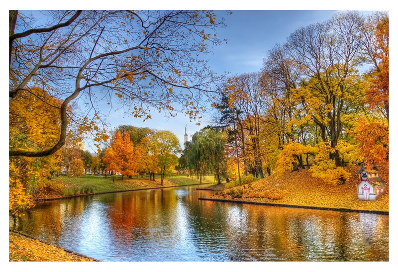 Autumn Park with River — Yellow, Serene
