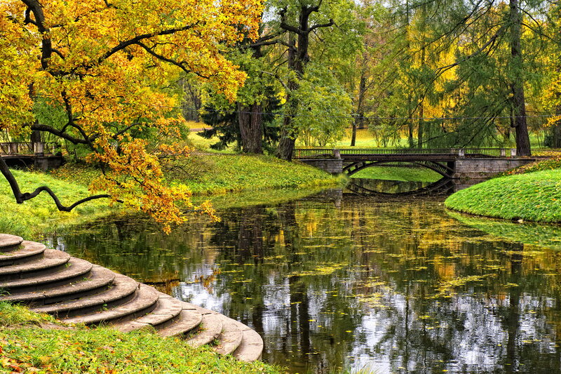 Autumn Park with River — Yellow