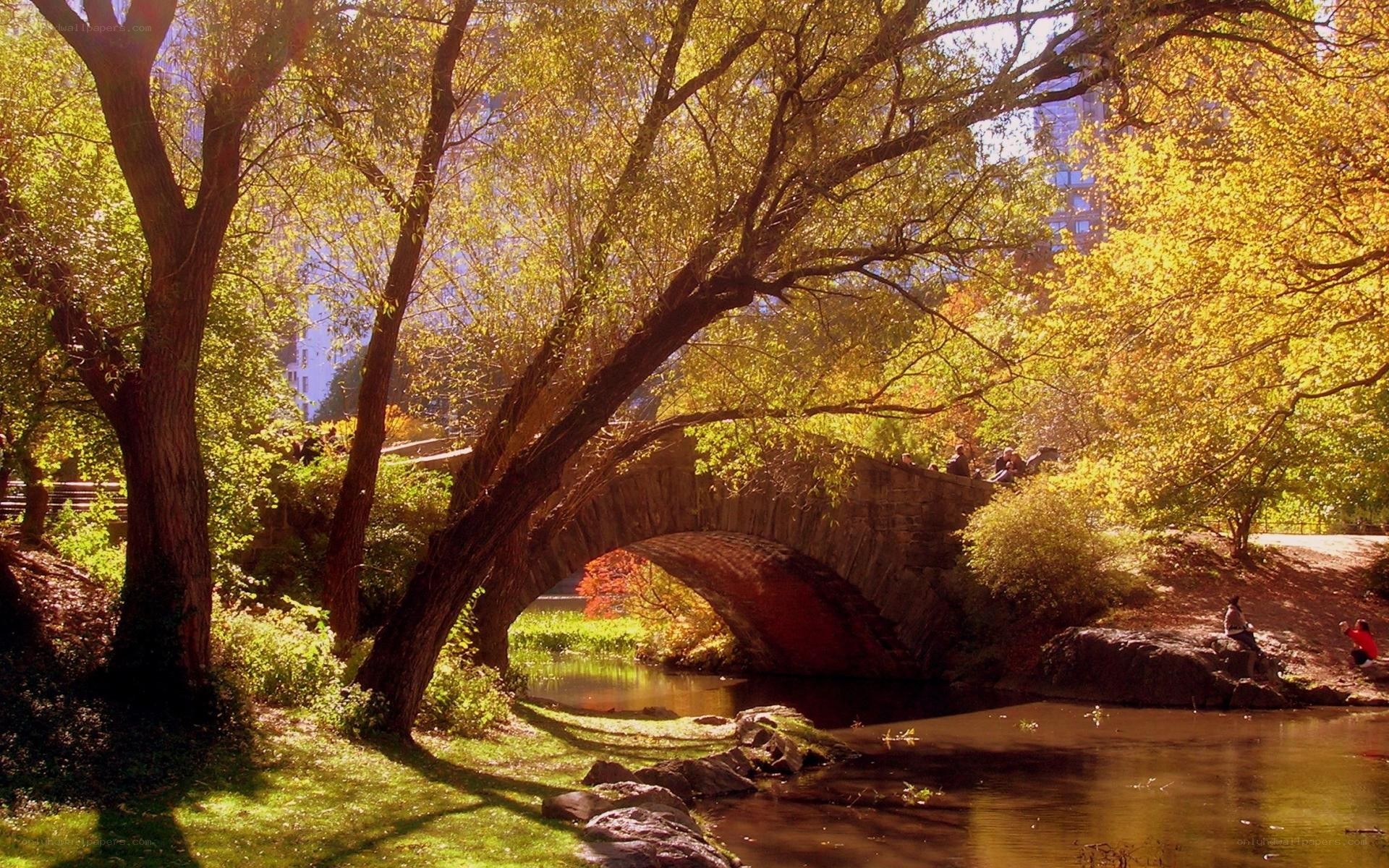 Autumn park with stone bridge