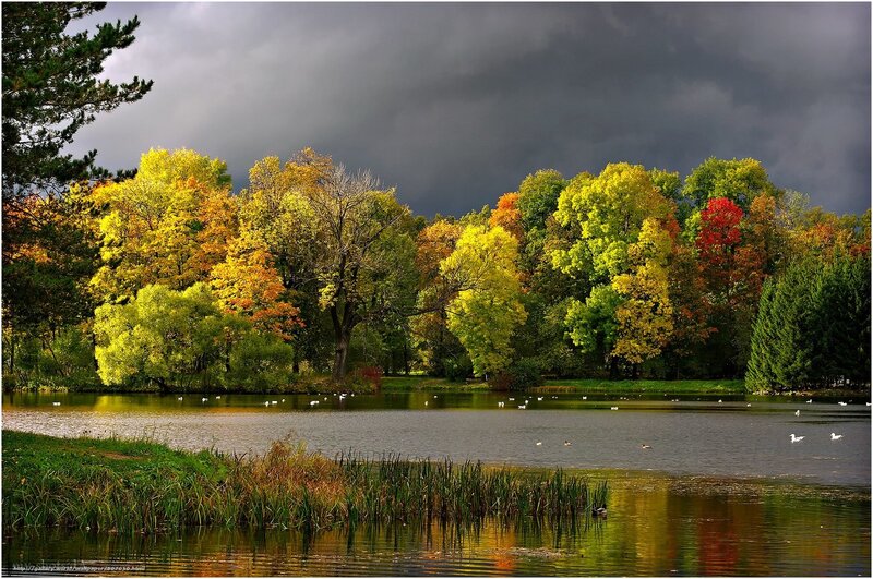 Autumn park with stormy sky