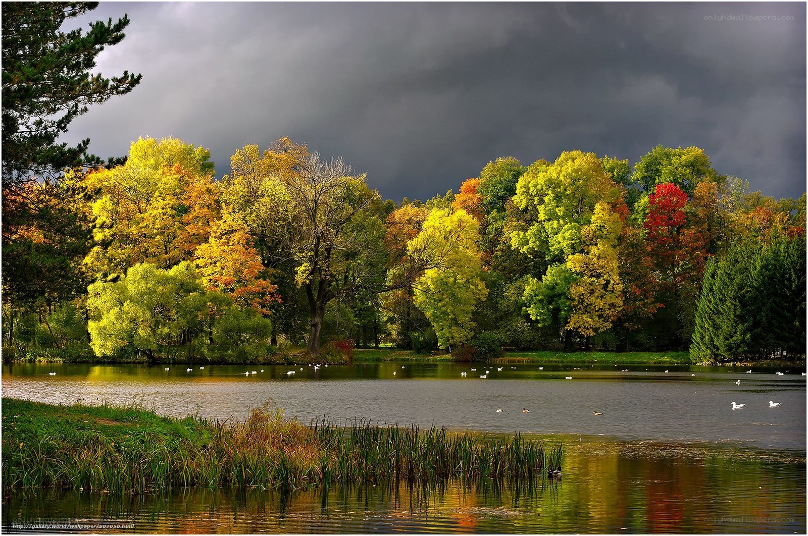 Autumn park with stormy sky