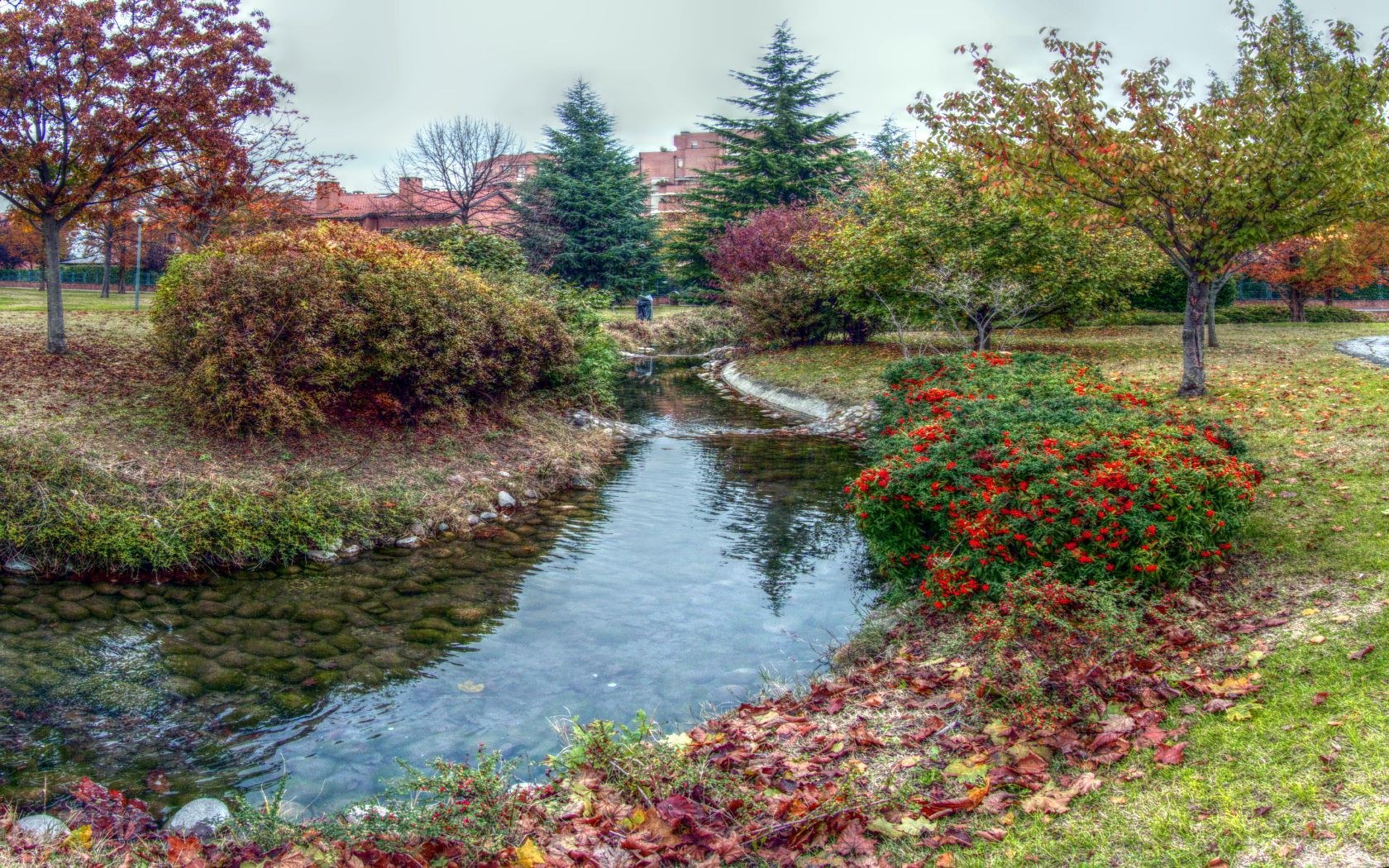 Autumn park with stream