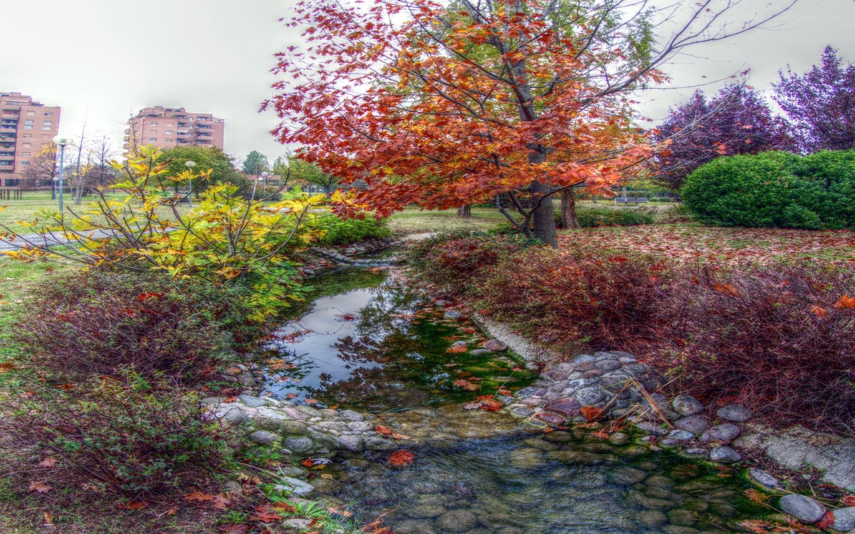 Autumn park with stream