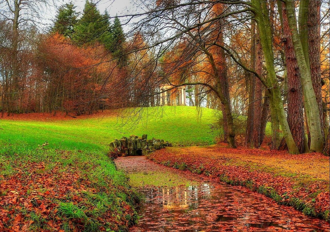 Autumn park with stream