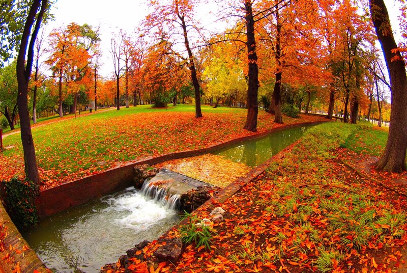 Autumn Park with Stream — Orange