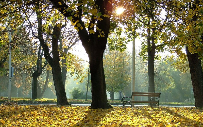 Autumn park with sunlit bench