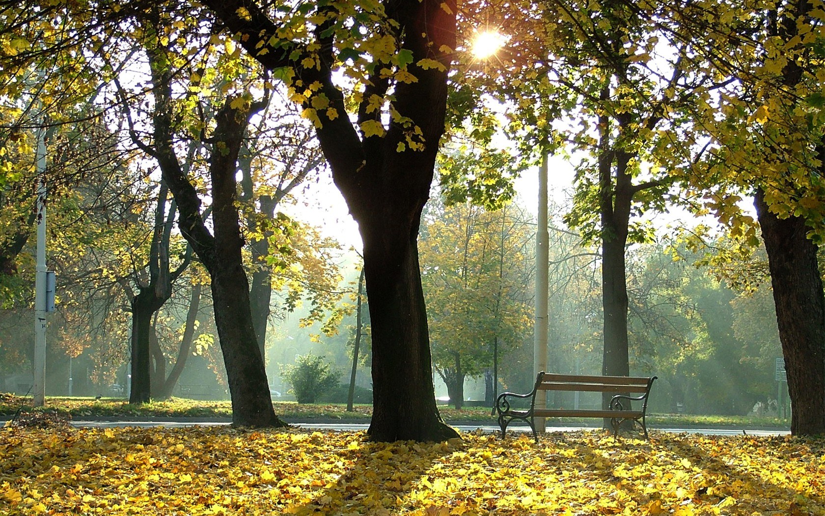 Autumn park with sunlit bench