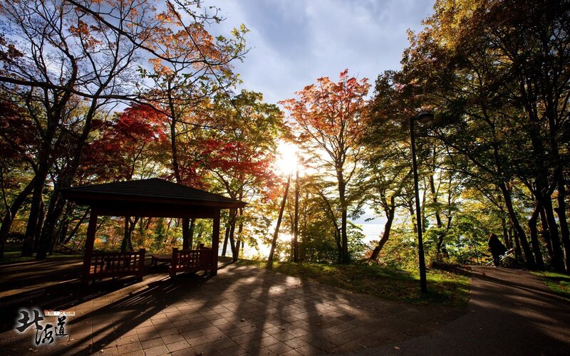 Autumn park with sunset