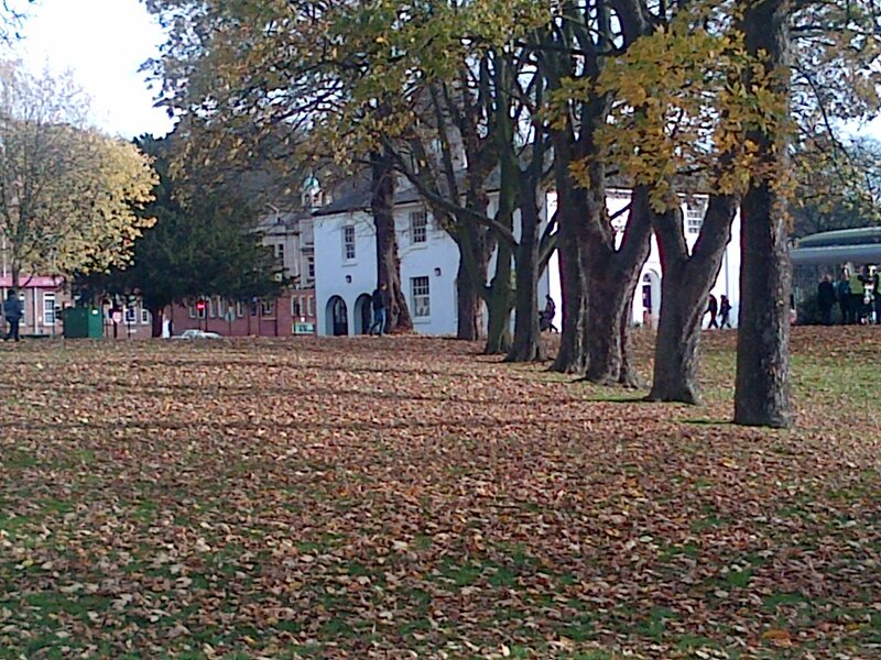 Autumn Park with Trees — Brown
