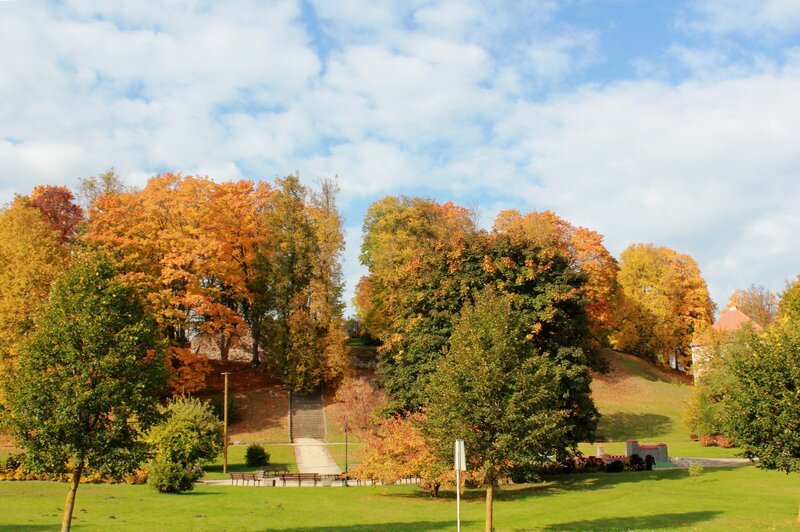Autumn Park with Trees — Green, Serene, Photograph, Stairs