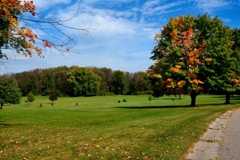 Autumn Park with Trees — Green, Serene, Photograph