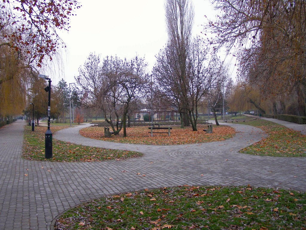 Autumn park with winding paths