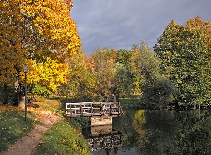 Autumn park with wooden bridge