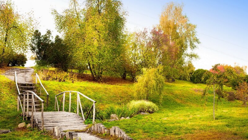 Autumn park with wooden bridge