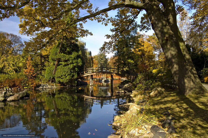 Autumn park with wooden bridge