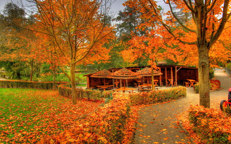 Autumn Park with Wooden Shelters — Orange