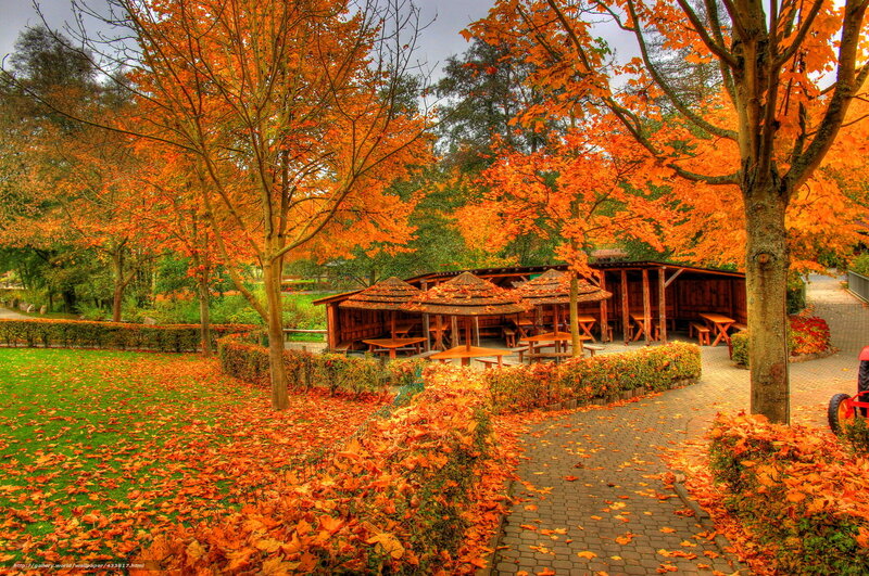 Autumn park with wooden shelters