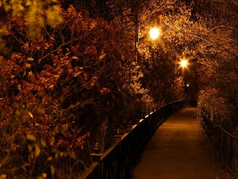 Autumn path at night