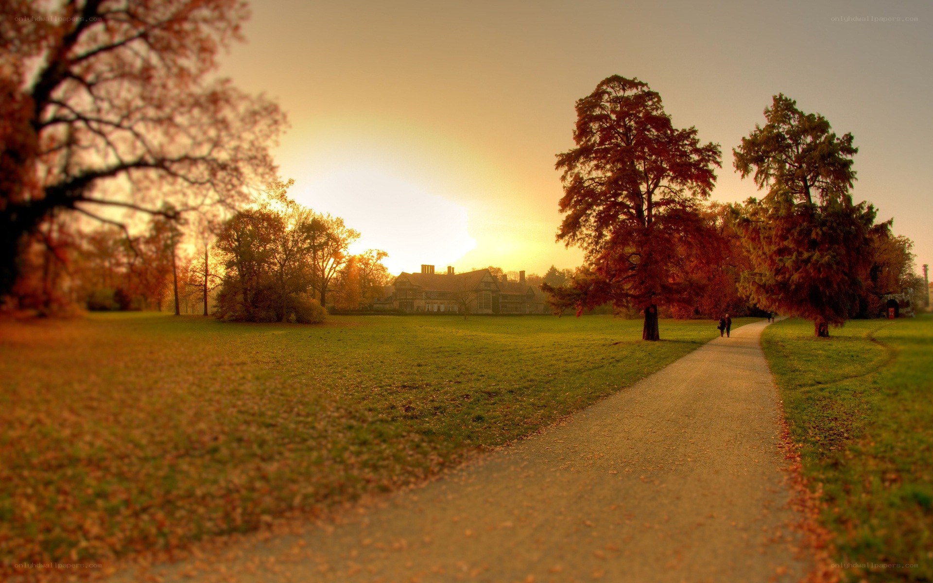 Autumn path at sunset