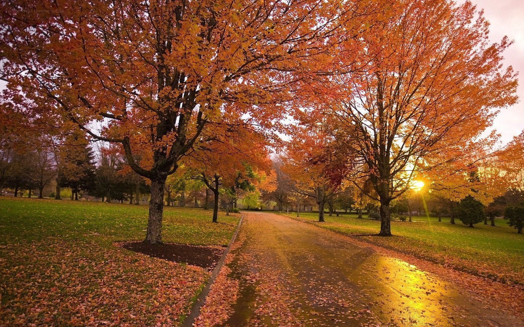 Autumn path at sunset