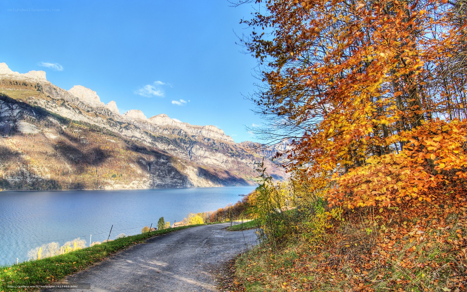 Autumn path by a mountain lake