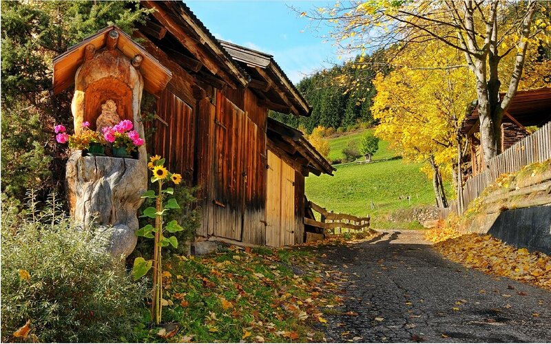 Autumn path by a wooden cabin