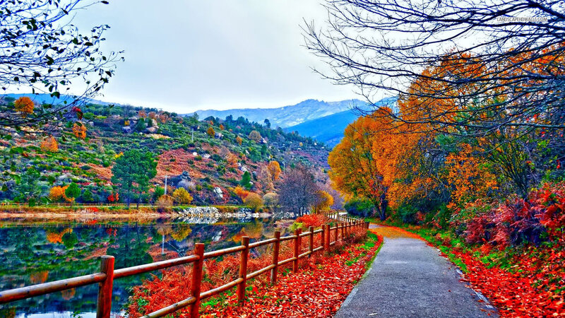 Autumn Path by Lake — Orange, Serene, Photograph, Trees