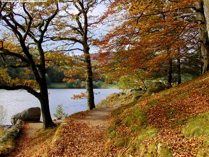 Autumn Path by Lake — Orange, Serene