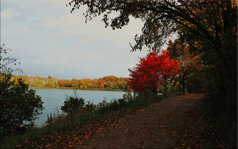 Autumn Path by Lake — Red