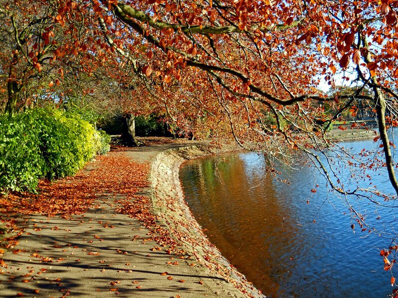 Autumn Path by Lake