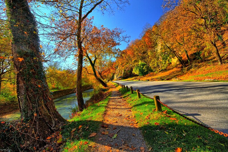Autumn Path by River — Orange, Serene