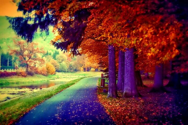 Autumn Path by River — Orange