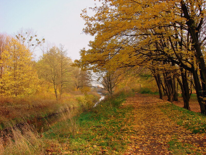 Autumn Path by River