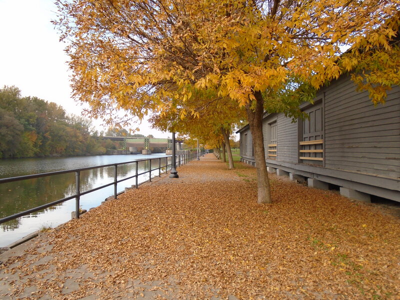 Autumn Path by River — Yellow