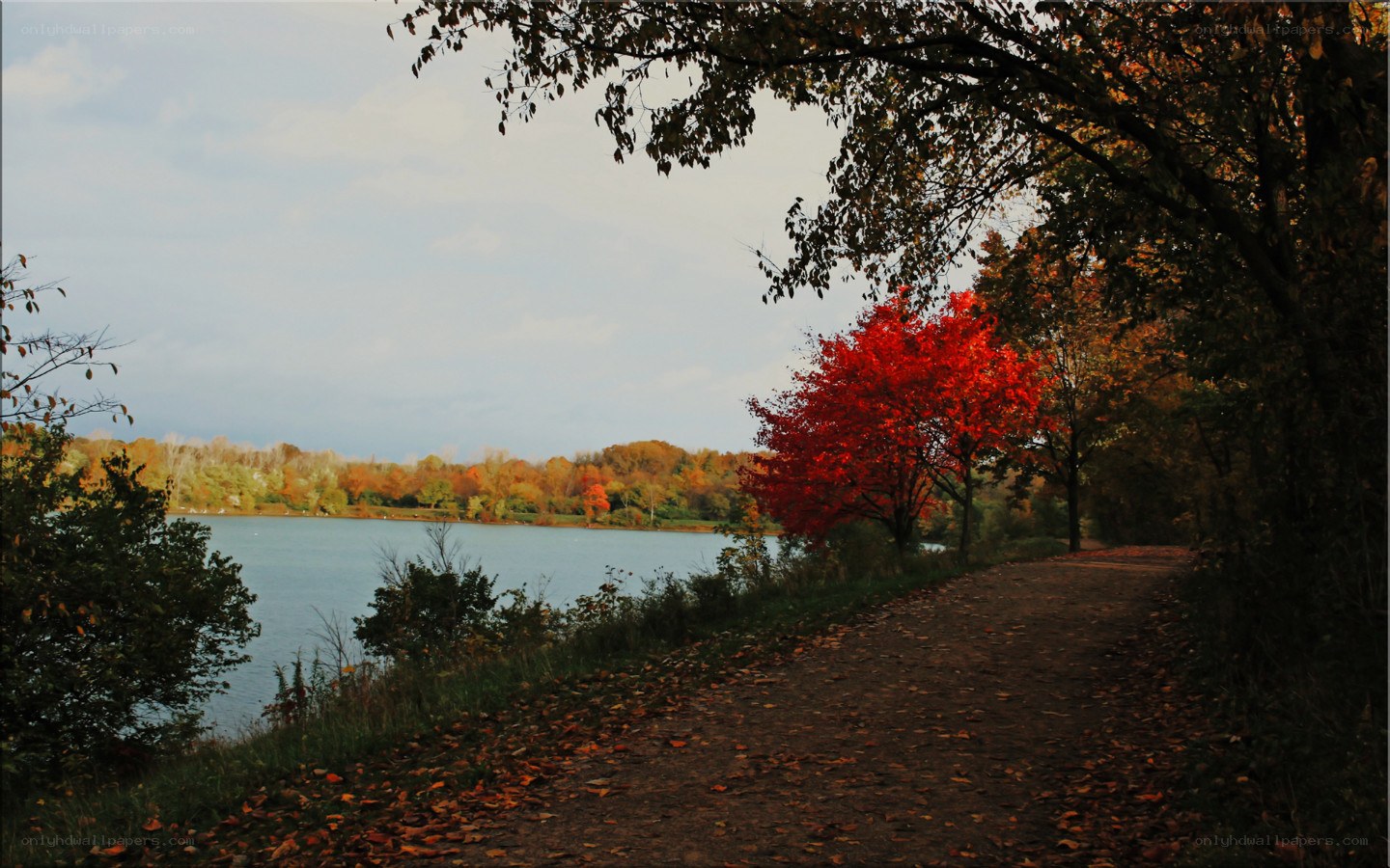 Autumn path by the lake
