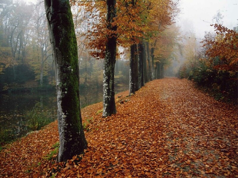 Autumn path by the lake