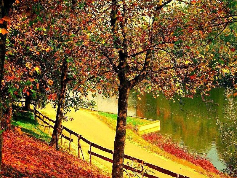 Autumn path by the lake