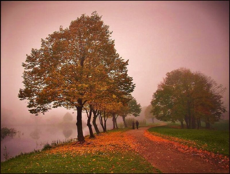 Autumn path by the lake