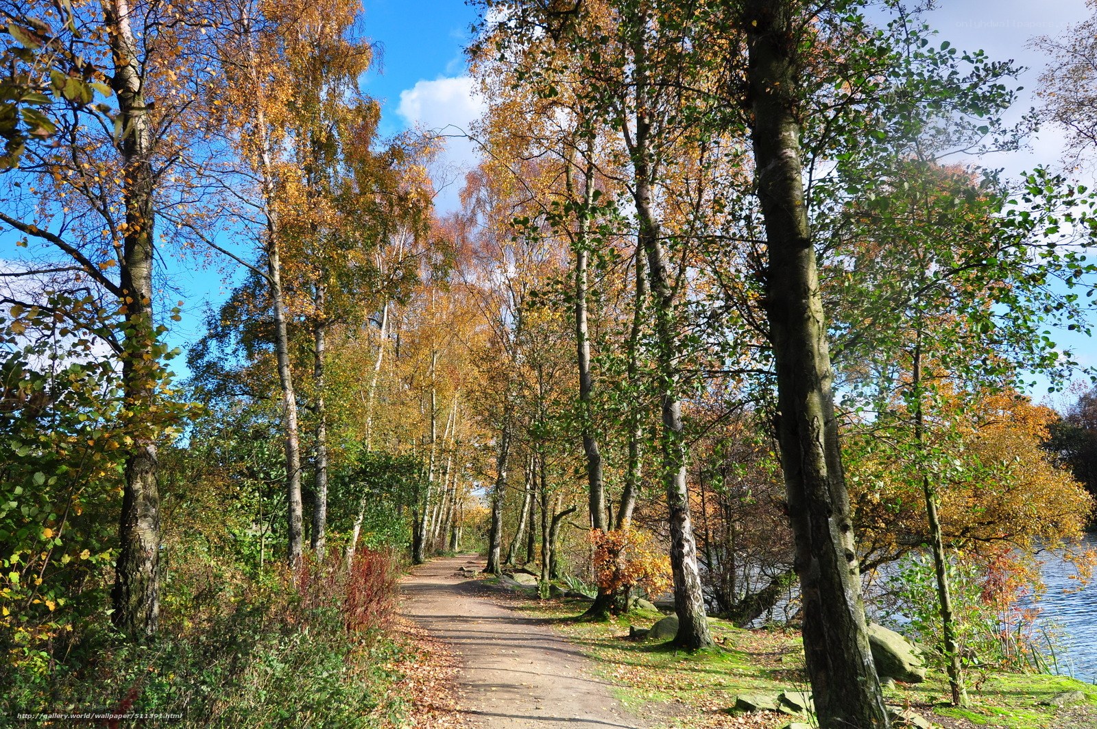 Autumn path by the lake